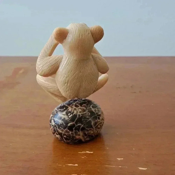 Monkey SITTING ON A STONE CALLING OUT - Picture 4 of 4